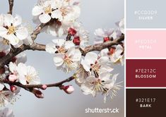 the color scheme is red, brown, and pink with white flowers on it's branches