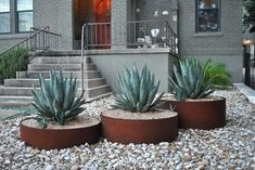 three planters with succulents in front of a house