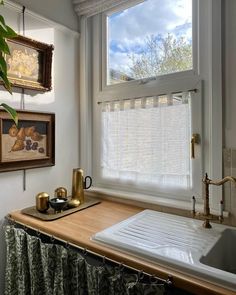 a kitchen sink sitting under a window next to a potted plant