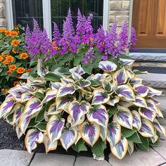 purple and white flowers in front of a house