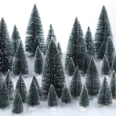 a bunch of small trees that are standing in the snow