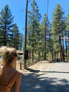 a woman riding a motorcycle down a road next to tall pine trees