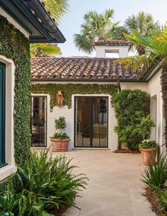 an outdoor courtyard with potted plants and palm trees in the foreground, surrounded by greenery