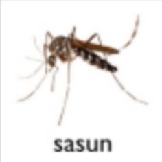 a mosquito is shown with the word sasun on it