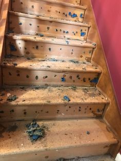 the carpet on the stairs is blue and has been chewed off with dirt all over it