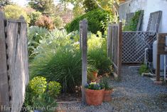 an outdoor garden area with potted plants and gravel path leading to the back door