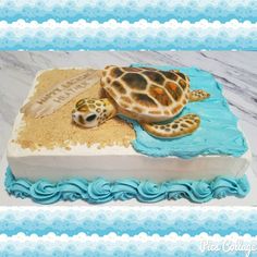 there is a cake with a turtle on it and sand in the shape of a rectangle