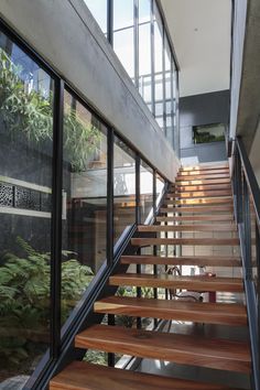 wooden stairs lead up to the upper level of this modern home with glass walls and large windows