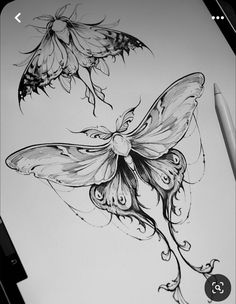 a pencil drawing of a butterfly and flower