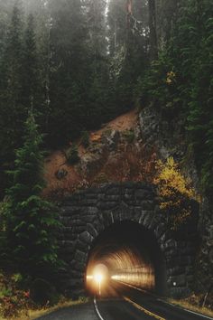 a light at the end of a tunnel with trees in the background and fog coming out