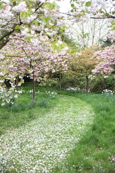 the path is lined with pink and white flowers in the grass next to some trees