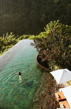 an instagram photo of a person swimming in a pool with trees and umbrellas