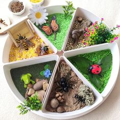 a white plate topped with lots of different types of plants and animals inside of it