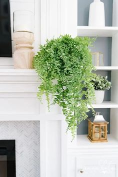 a potted plant sitting on top of a white mantle next to a fire place