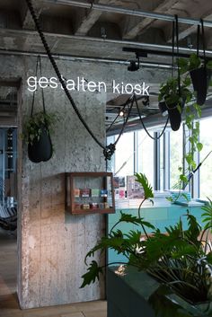 an office with plants hanging from the ceiling, and a sign that reads gestatten kiosk