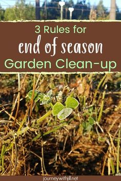 three rules for end of season garden clean - up