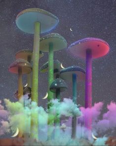 Mushroom Background, Arte Peculiar, Dreamcore Weirdcore, Rainbow Aesthetic, Glow Effect, Mushroom Art, Trippy Art, Pretty Wallpapers