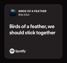 birds of a feather, we should not stick together with spotify's logo