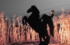 the silhouette of a horse is shown in front of a cornfield at night with an orange light on its head