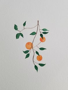 an orange tree branch with green leaves and fruit painted on it's white paper