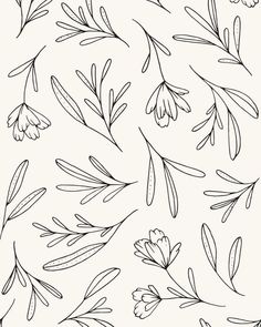 an image of flowers and leaves drawn in black ink on white paper, with the outlines