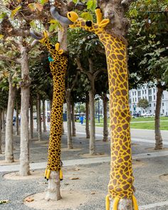 two giraffes are standing next to each other on the street near trees