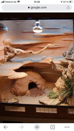 an aquarium is shown with rocks and plants in the bottom right hand corner, and water on the bottom left