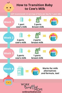 how to transition baby milk into cow's milk info graphic by work from mom