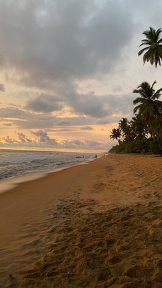 a sandy beach with palm trees and people walking on the shore at sunset or dawn