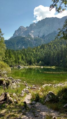 a lake surrounded by mountains and trees in the middle of a forest with lots of green grass