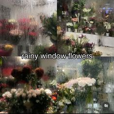 there are many flowers in the window and one has rain falling down on it's side