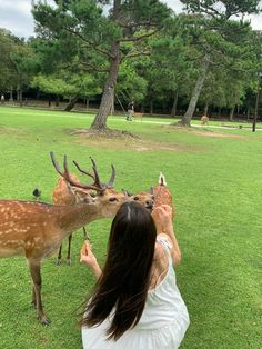 a woman kneeling down next to a deer on top of a lush green field with trees in the background