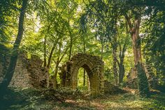 an old ruin in the middle of a forest with trees and bushes on both sides