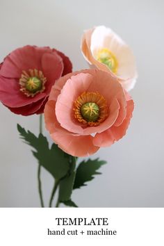 three flowers are in a vase with the words online template on it and below them