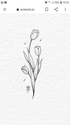 a black and white drawing of tulips with the words pinterest pot on it