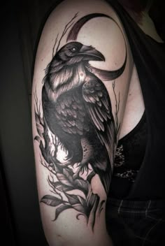 a black and white bird sitting on top of a tree branch with the moon in the background