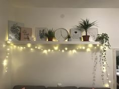 a living room filled with furniture and lots of plants on top of the shelves above