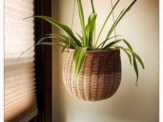 a wicker hanging planter with green plants in it next to a window sill