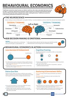 an info poster showing the different types of people's brain and their abilitiess