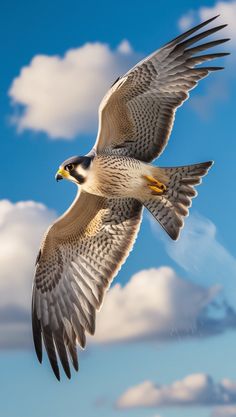 a bird flying through the air with clouds in the background