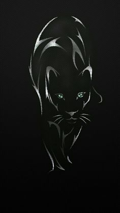 a black cat with green eyes on a dark background