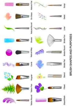 an image of different types of paint brushes