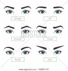 6 basic eyebrow shape types. Classic type and other. Vector illustration eyebrows with eyes - stock vector illustration with captions. Fashion female brow. Trimming. poster Brow Trimming, Glasses Shapes, Brow Shapes, Mircoblading Eyebrows, Types Of Eyebrows, Maquillage Yeux Cut Crease, Mekap Mata