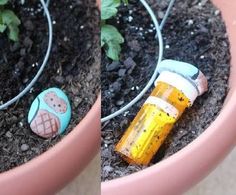 two pictures of the same planter with different things in it and one has an empty bottle