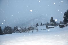 a snow covered field with houses and trees in the background