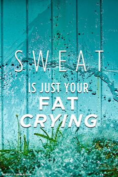 ok thats funny Motivation Wallpaper, Healthy Changes, Female Fitness, Fitness Quotes, Daily Motivation, Motivation Inspiration