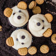 cupcakes decorated with cookies and cream frosting in the shape of teddy bears