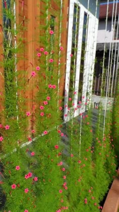 pink flowers are growing on the side of a wooden fence