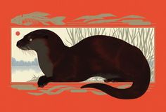 an illustration of a beaver sitting on the ground