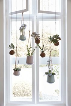 hanging planters with plants in them on the windowsill